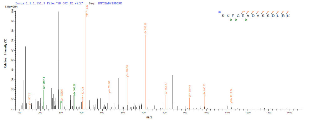 Protein Mass Spectrometry Identification 03