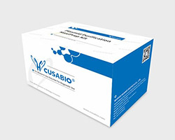 Plasmid DNA Purification Maxiprep Kit Package