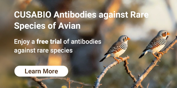 CUSABIO Antibodies against Rare Species of Drosophila melanogaster