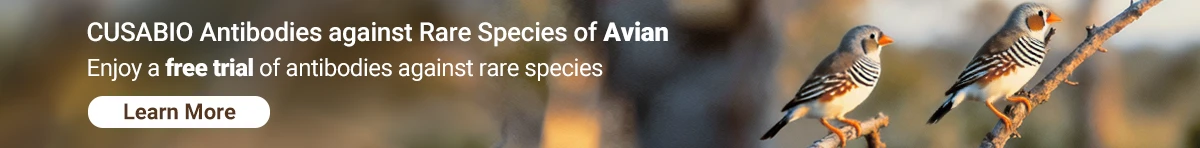 CUSABIO Antibodies against Rare Species of Drosophila melanogaster