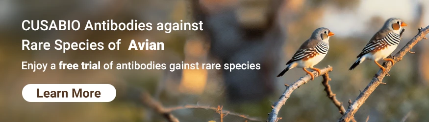 Polyclonal Antibodies against Avian