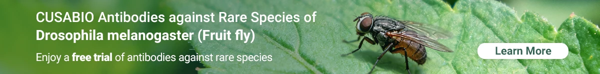 CUSABIO Antibodies against Rare Species of Drosophila melanogaster