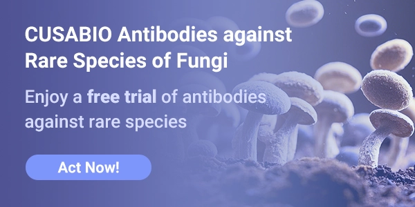 CUSABIO Antibodies against Rare Species of Fungi