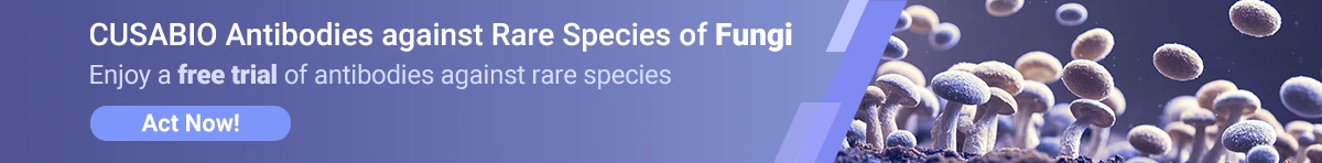 CUSABIO Antibodies against Rare Species of Fungi