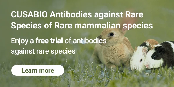 CUSABIO Antibodies against Rare Species of Rare mammalian species