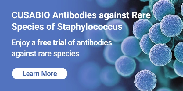 CUSABIO Antibodies against Rare Species of Staphylococcus