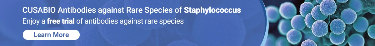 CUSABIO Antibodies against Rare Species of Staphylococcus