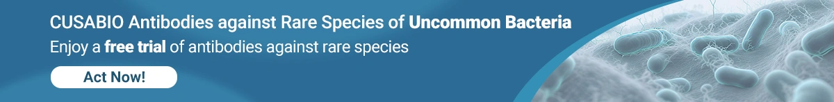 CUSABIO Antibodies against Rare Species of Uncommon Bacteria
