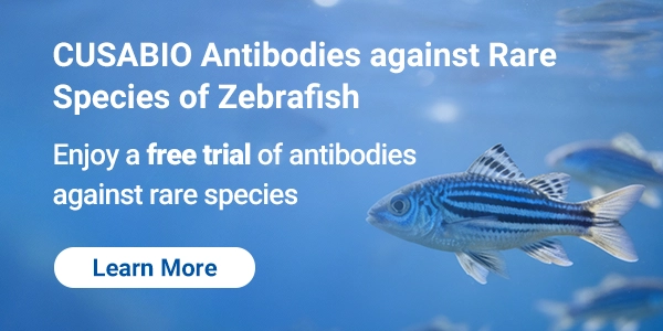 CUSABIO Antibodies against Rare Species of Zebrafish