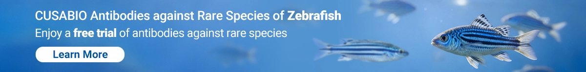 CUSABIO Antibodies against Rare Species of Zebrafish
