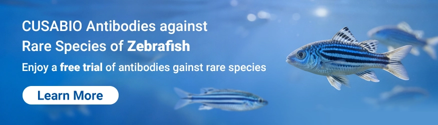 Polyclonal Antibodies against Zebrafish