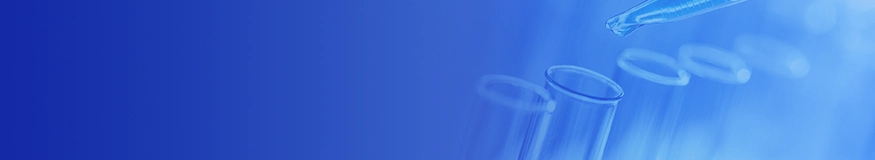 Solving Western Blot Challenges: From Pitfalls to Publication-Ready Data