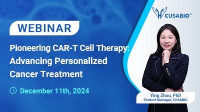 webinar past events