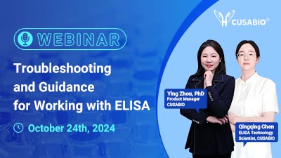webinar past events