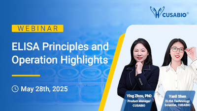 webinar past events