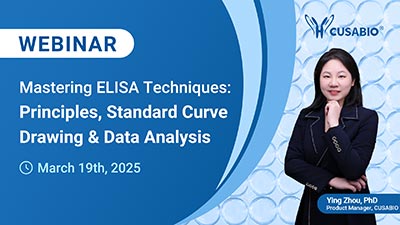 webinar past events