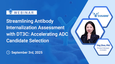 webinar past events