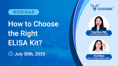 webinar past events