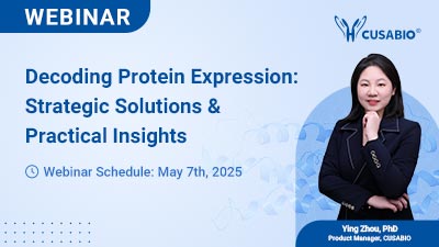 webinar past events