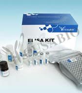 Elisa Kit For Food Safety & Drug Residues