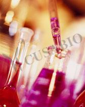 Tools Enzyme