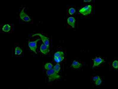 CSB-PA002470LA01HU