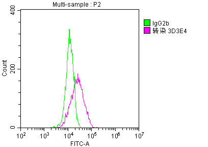 Overlay Peak curve showing 293F cells transfected with GST stained with CSB-MA000031M1m (red line) at 1:189. The cells were fixed in 4% formaldehyde and permeated by 0.2% TritonX-100. Then 10% normal goat serum was Incubated to block non-specific protein-protein interactions followed by the antibody (1g/1*106 cells) for 1 h at 4C. The secondary antibody used was FITC-conjugated Goat Anti-Mouse IgG(H+L) at 1/100 dilution for 30min at 4C. Isotype control antibody (green line) was mouse IgG2b (1g/1*106 cells) used under the same conditions. Acquisition of >10,000 events was performed.