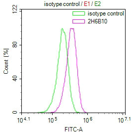 CSB-MA015943A0m FC