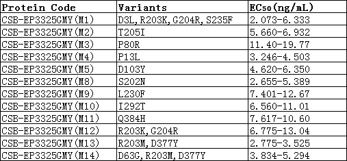 anti-Human Novel Coronavirus (SARS-CoV-2/ 2019-nCoV) Nucleoprotein (NTD ...