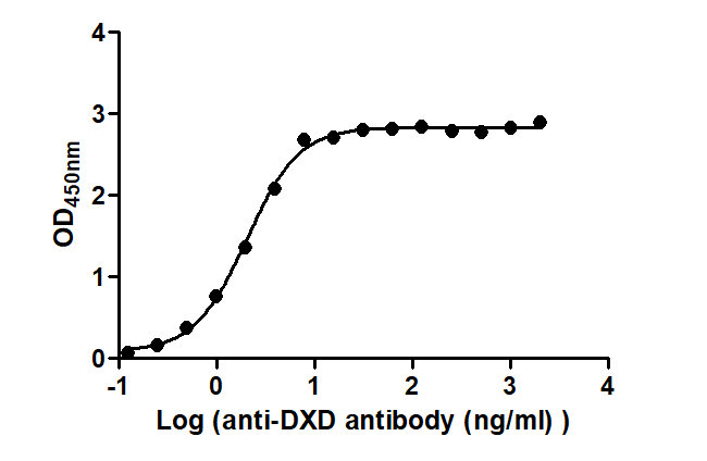 The Binding Activity of ADC-DXD(1) with Anti-DXD antibody