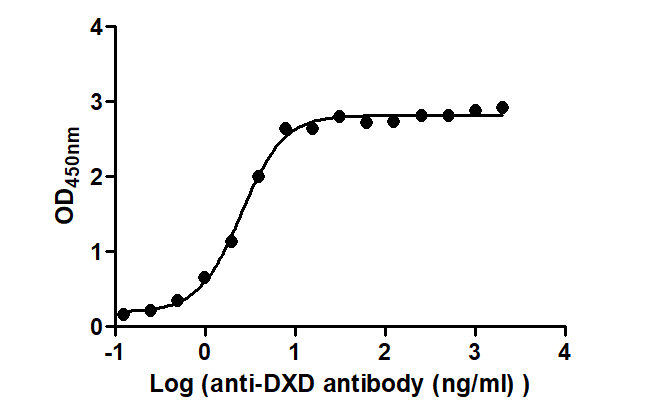 The Binding Activity of T-DXd(DS-8201) with Anti-DXD antibody