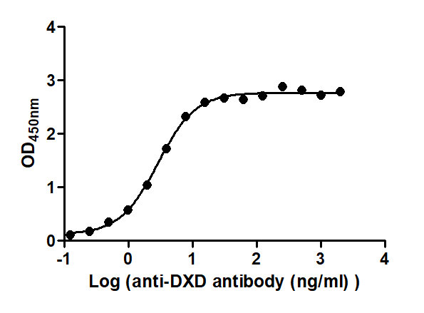 The Binding Activity of ADC-DXD(1) with Anti-DXD antibody