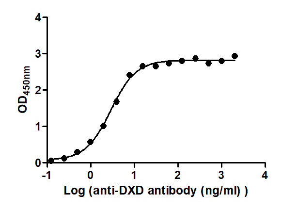 The Binding Activity of T-DXd(DS-8201) with Anti-DXD antibody