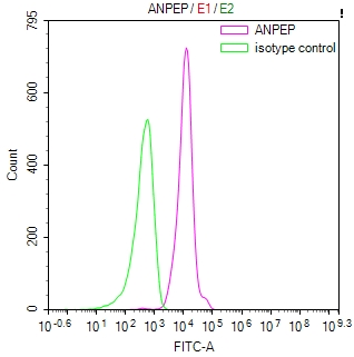 ANPEP Recombinant Monoclonal Antibody - image 3