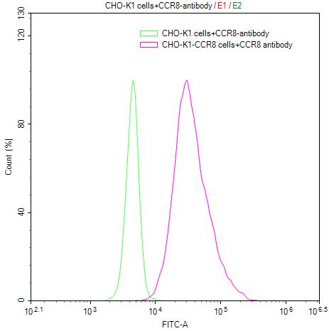 Untransfected CHO-K1 cells (green line) and transfected Human CCR8 CHO-K1 stable cells (red line) were stained with anti-CCR8 antibody (2microg/1*106cells), washed and then followed by FITC-conjugated anti-Human IgG Fc antibody and analyzed with flow cytometry. Untransfected CHO-K1 cells (green line) and transfected Human CCR8 CHO-K1 stable cells (red line) were stained with anti-CCR8 antibody (2microg/1*106cells), washed and then followed by FITC-conjugated anti-Human IgG Fc antibody and analyzed with flow cytometry.