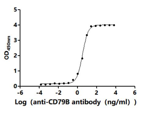 CSB-RA004958MA2HU ELISA2