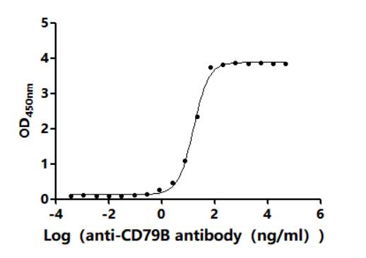 CSB-RA004958MA2HU ELISA1