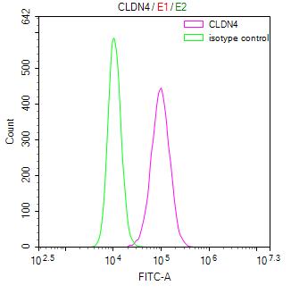 CSB-RA005506MA2HU FC