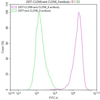 CSB-RA005508MA1HU