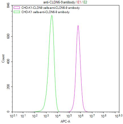 CSB-RA005508MA1HU