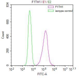 FTH1 Recombinant Monoclonal Antibody - image 4