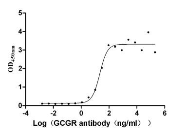 The Binding Activity of Human GCGR with Anti-GCGR recombinant antibody. Activity: Measured by its binding ability in a functional ELISA. Immobilized Human GCGR (CSB-MP009316HU1) at 2 microg/mL can bind Anti-GCGR recombinant antibody, the EC50 is 14.57-32.56 ng/mL. The Binding Activity of Human GCGR with Anti-GCGR recombinant antibody. Activity: Measured by its binding ability in a functional ELISA. Immobilized Human GCGR (CSB-MP009316HU1) at 2 microg/mL can bind Anti-GCGR recombinant antibody, the EC50 is 14.57-32.56 ng/mL.