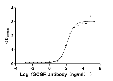 The Binding Activity of Human GCGR with Anti-GCGR recombinant antibody. Activity: Measured by its binding ability in a functional ELISA. Immobilized Human GCGR (CSB-YP009316HU1) at 2 microg/mL can bind Anti-GCGR recombinant antibody, the EC50 is 104.1-179.5 ng/mL.
