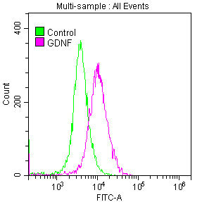Overlay histogram showing SH-SY5Y cells stained with CSB-RA009356A0HU (red line) at 1:50. The cells were fixed with 70% Ethylalcohol (18h) and then permeabilized with 0.3% Triton X-100 for 2 min. The cells were then incubated in 1x PBS /10% normal goat serum to block non-specific protein-protein interactions followed by primary antibody for 1 h at 4°C. The secondary antibody used was FITC goat anti-rabbit IgG (H+L) at 1/200 dilution for 1 h at 4°C. Control antibody (green line) was used under the same conditions. Acquisition of >10,000 events was performed.