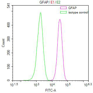 CSB-RA009369MA1HU FC