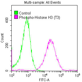 Phospho-Histone H3.3 (T3) Recombinant Monoclonal Antibody - image 3