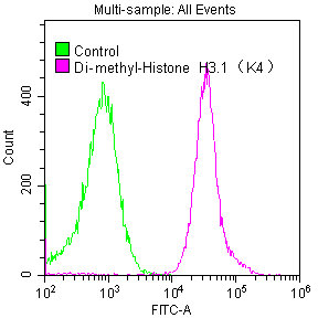 Di-methyl-Histone H3.1 (K4) Recombinant Monoclonal Antibody - image 4