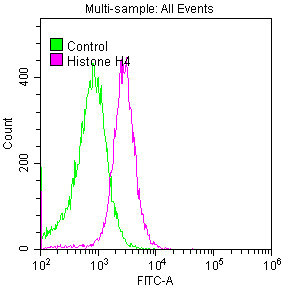 Histone H4 Recombinant Monoclonal Antibody - image 3