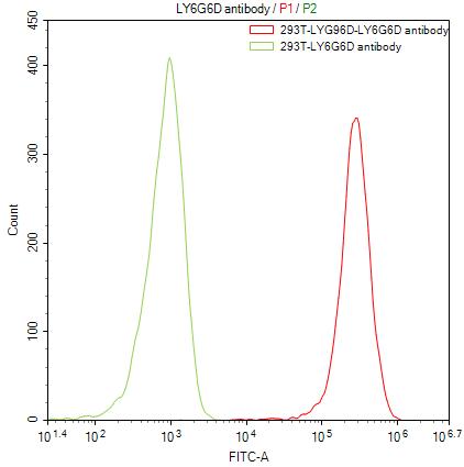 CSB-RA013246MA1HU-FC-1