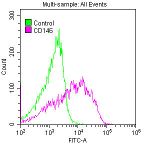 Overlay histogram showing A375 cells stained with CSB-RA013563A0HU (red line) at 1:50. The cells were fixed with 70% Ethylalcohol (18h) and then permeabilized with 0.3% Triton X-100 for 2 min.The cells were then incubated in 1x PBS /10% normal goat serum to block non-specific protein-protein interactions followed by primary antibody for 1 h at 4°C.The secondary antibody used was FITC goat anti-rabbit IgG (H+L) at 1/200 dilution for 1 h at 4°C. Control antibody (green line) was used under the same conditions. Acquisition of >10,000 events was performed.